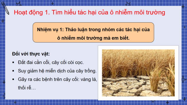 PowerPoint Hoạt động trải nghiệm 3 Tuần 29