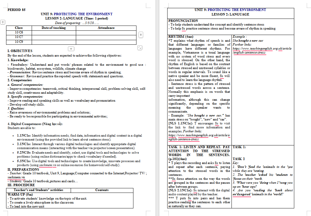 Giáo án Tiếng Anh 10 Unit 9: Language