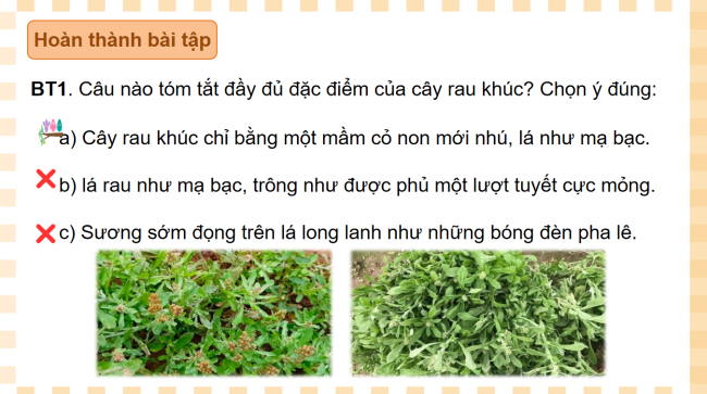 PowerPoint Tiếng Việt 3 Bài 15: Ôn tập giữa học kì II (Tiết 6)