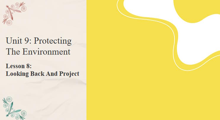 Giáo án Tiếng Anh 10 Unit 9: Looking Back