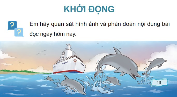 bai 1 ca heo o bien truong sa 3*903628