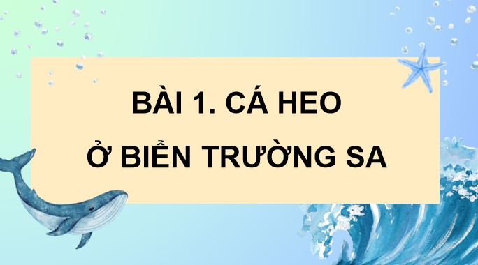 bai 1 ca heo o bien truong sa 4*903625