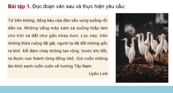 bai 4 luyen tap ve trang ngu 4*903957