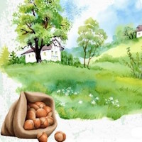 Giáo án Tiếng Việt 4 Bài 4: Nghe hạt dẻ hát