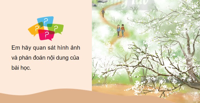 bai 7 rung mo 3*903325