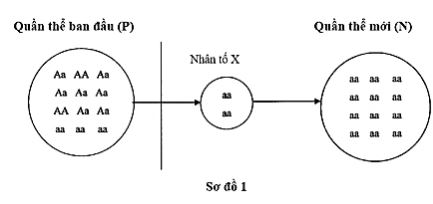 Đề thi thử THPT Quốc gia môn Sinh học