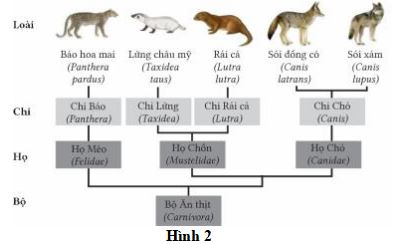 Đề thi thử THPT Quốc gia môn Sinh học