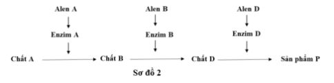 Đề thi thử THPT Quốc gia môn Sinh học