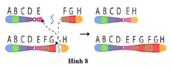 Đề thi thử THPT Quốc gia môn Sinh học