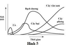 Đề thi thử THPT Quốc gia môn Sinh học