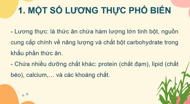 PowerPoint Khoa học tự nhiên 6 Bài 14. Một số lương thực - thực phẩm