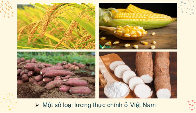 PowerPoint Khoa học tự nhiên 6 Bài 14. Một số lương thực - thực phẩm