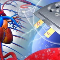 Giáo án Khoa học tự nhiên 6 Bài 9: Oxygen