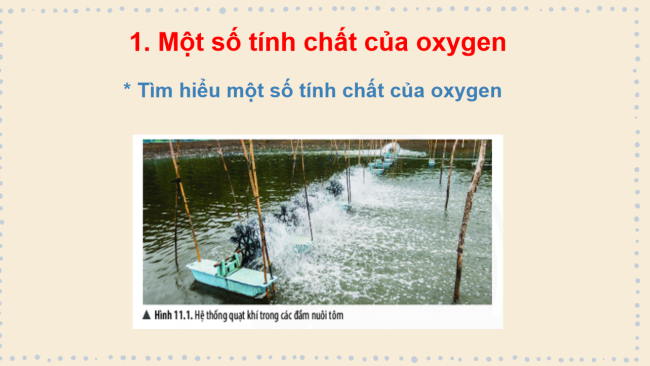 PowerPoint Khoa học tự nhiên 6 Bài 9: Oxygen