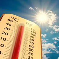 Giáo án Khoa học tự nhiên 6: Ôn tập chủ đề 1