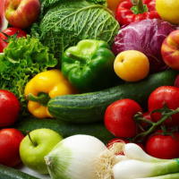 Giáo án Khoa học tự nhiên 6: Ôn tập chủ đề 4