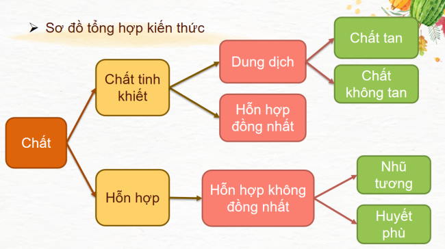 PowerPoint Khoa học tự nhiên 6 Ôn tập chủ đề 5