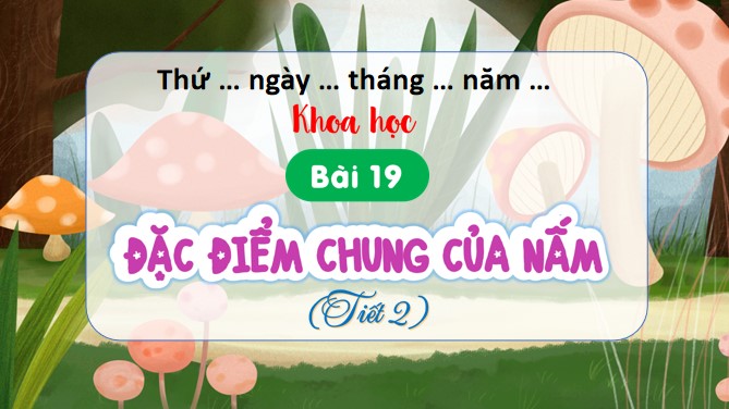 bai 19 dac diem chung cua nam 1*904597