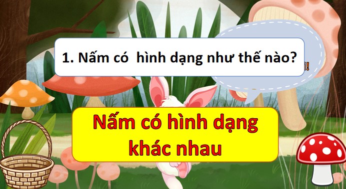 bai 19 dac diem chung cua nam 3*904604