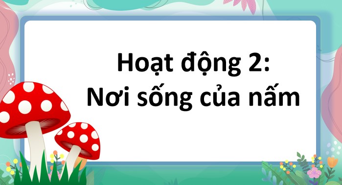 bai 19 dac diem chung cua nam 4*904602