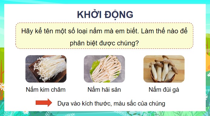 bai 19 dac diem chung cua nam 6*904603