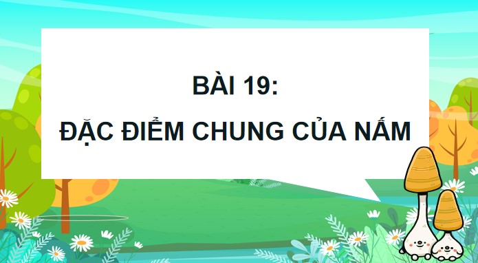 bai 19 dac diem chung cua nam 7*904601