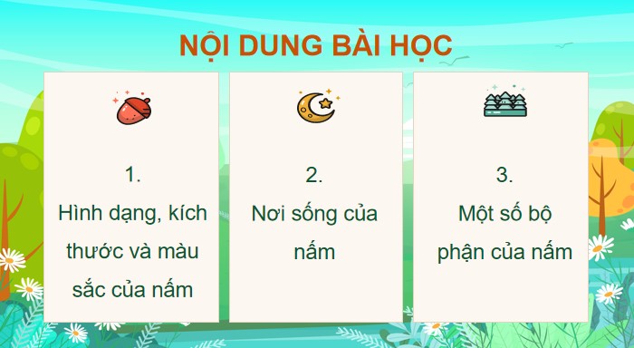 bai 19 dac diem chung cua nam 8*904599