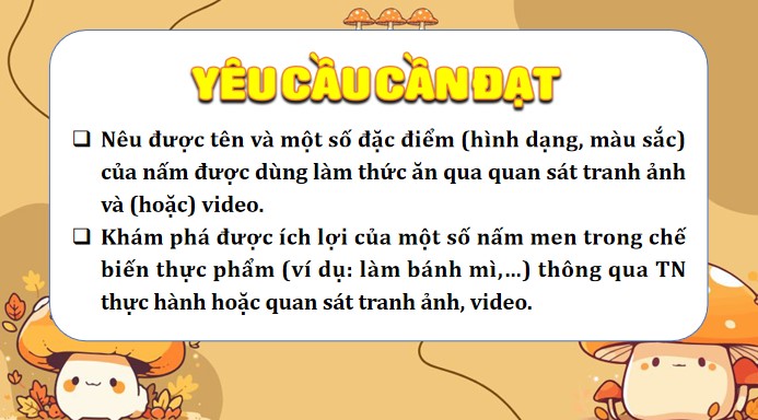 bai 20 nam an va nam trong che bien thuc pham 2*904617