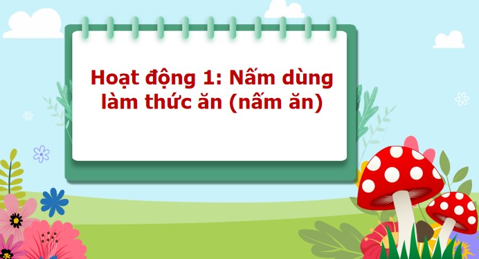 bai 20 nam an va nam trong che bien thuc pham 3*904622