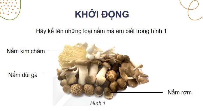 bai 20 nam an va nam trong che bien thuc pham 6*904620