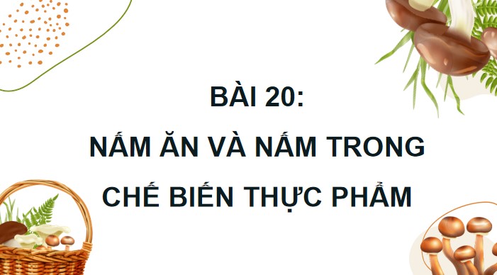 bai 20 nam an va nam trong che bien thuc pham 7*904619