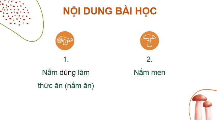 bai 20 nam an va nam trong che bien thuc pham 8*904618