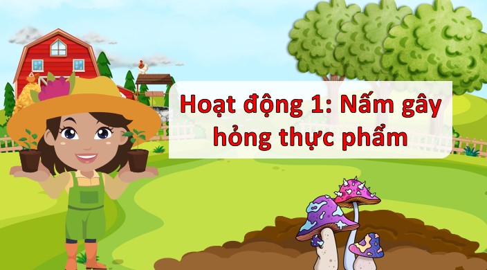 bai 21 nam gay hong thuc an va nam doc 2*904631