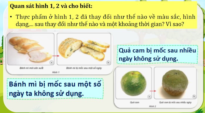 bai 21 nam gay hong thuc an va nam doc 4*904632