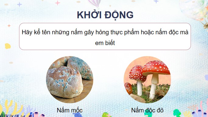 bai 21 nam gay hong thuc an va nam doc 6*904635