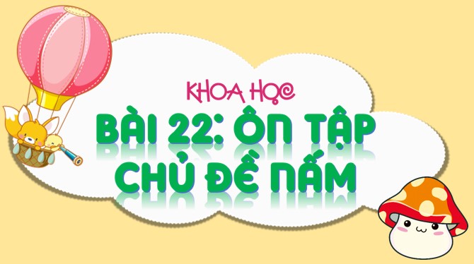 bai 22 on tap chu de nam 1*904651