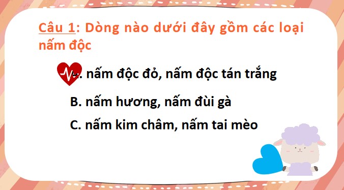 bai 22 on tap chu de nam 3*904658