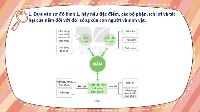 bai 22 on tap chu de nam 4*904655