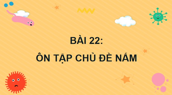 bai 22 on tap chu de nam 7*904654