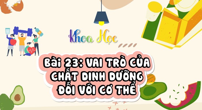 bai 23 vai tro cua chat dinh duong doi voi co the 1*904675