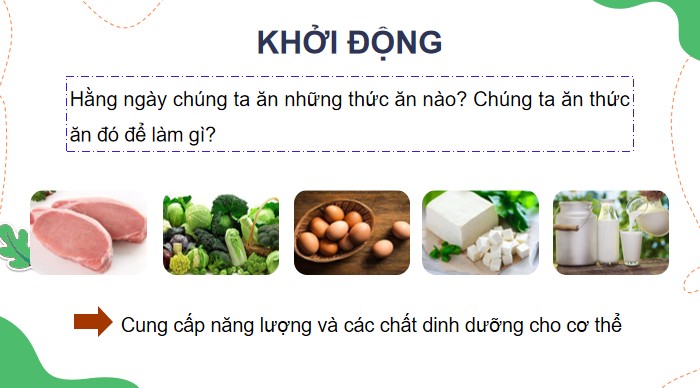 bai 23 vai tro cua chat dinh duong doi voi co the 6*904680