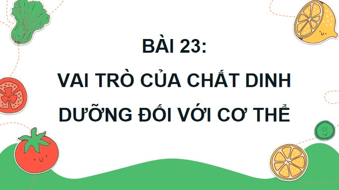 bai 23 vai tro cua chat dinh duong doi voi co the 7*904678