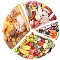 Giáo án Khoa học 4 Bài 28: Ôn tập chủ đề con người và sức khỏe