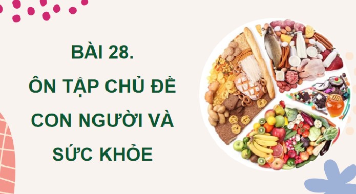 bai 28 on tap chu de con nguoi va suc khoe 7*904833