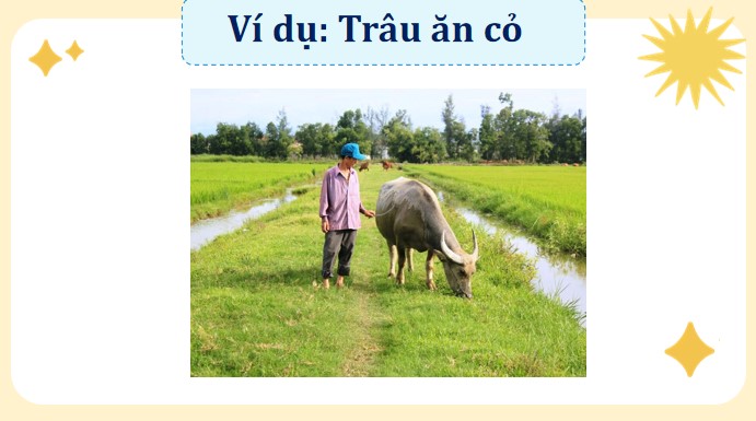 bai 29 chuoi thuc an trong tu nhien 3*904849