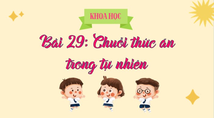 bai 29 chuoi thuc an trong tu nhien 4*904850