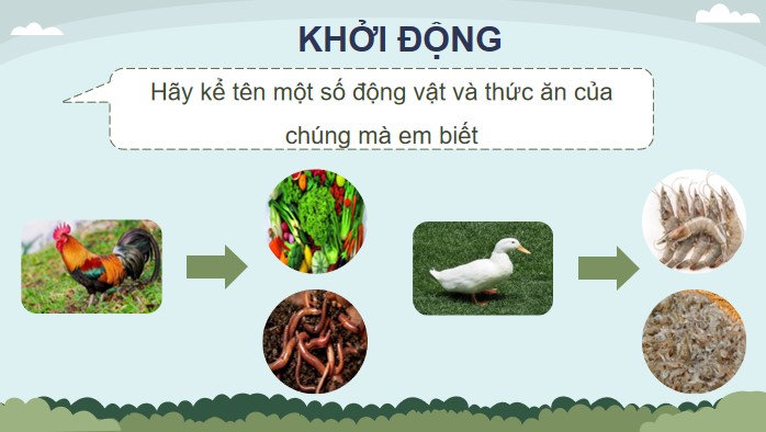 bai 29 chuoi thuc an trong tu nhien 6*904845