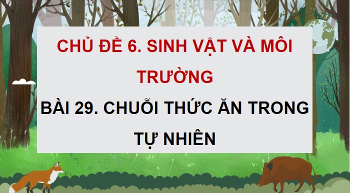 bai 29 chuoi thuc an trong tu nhien 7*904853