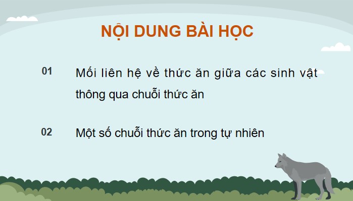 bai 29 chuoi thuc an trong tu nhien 8*904851