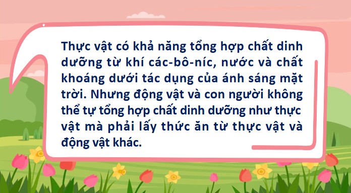 bai 30 vai tro cua thuc vat trong chuoi thuc an 4*904871